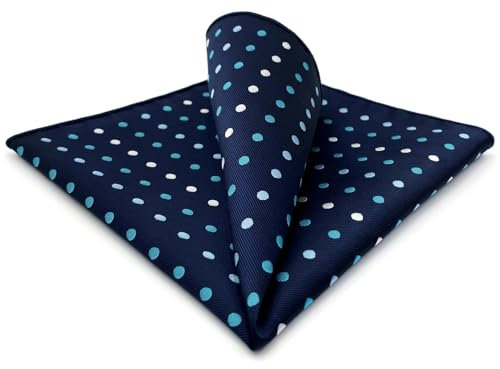 Shlax&Wing Mode Herren Seide Geschäftsanzug Einstecktuch Blau Punkte