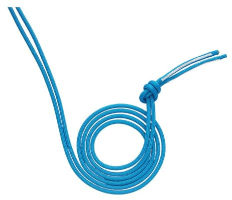 AustriAlpin DYNA.MIT Reepschnur mit OVALO Karabiner - Mischgewebeschlingen, Länge:290cm;Farbe:rot (Blau, 520)