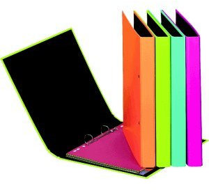 Pagna Ringbuch A4 2-Ringe 20mm lime