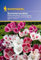 Godetia Sommerazalee Azaleen-Mischung