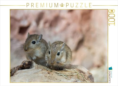 CALVENDO Puzzle Mongolisches Rennmaus-Pärchen | 1000 Teile Lege-Größe 64 x 48 cm Foto-Puzzle für glückliche Stunden