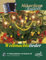 Akkordeon Festival Weihnachtslieder mit Playback-CD