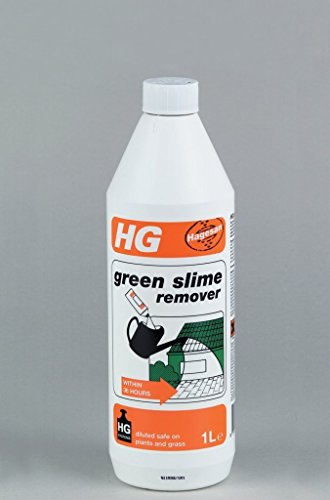 HG algae and mould remover 1L