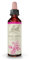 Fleurs de Bach Original, Crab Apple, No 10, pour plus d'acceptation de soi, aide à se sentir mieux dans sa peau. Elixir floral naturel pour le bien-être émotionnel. Compte-Gouttes 20ml, Vegan