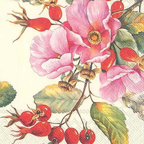 Ideal Home Range 20 Zählen Wild Rose Papier Servietten