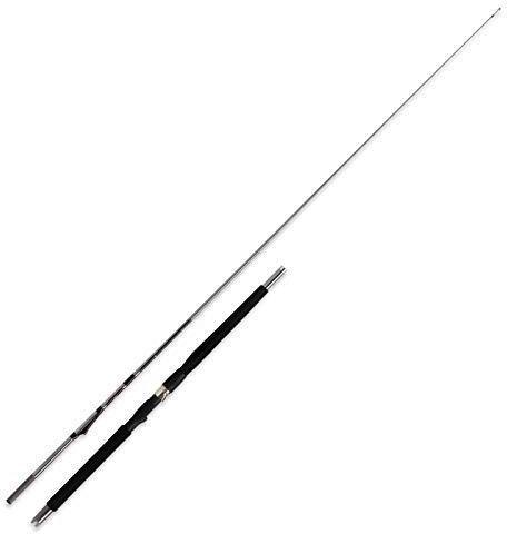 WFT Prion Inline 7' 2,10m 300-900g