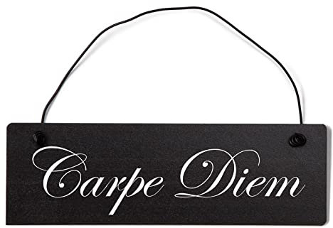 Deko Shabby Chic Schild Carpe Diem in schwarz Vintage Holz Türschild mit Draht