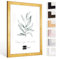 Bildershop-24 Bilderrahmen Monza in BLATTGOLD in 50 X 75 cm Fotorahmen, Wechselrahmen, Posterrahmen, Puzzlerahmen