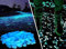 Opps Resin 100 Pcs Glow in The Dark Garden Pebbles for Walkways and Decor in Blue