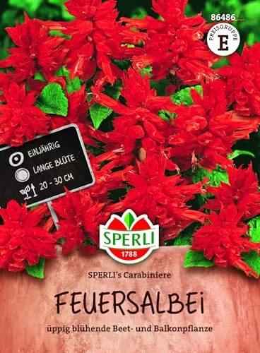 Sperli Feuersalbeisamen SPERLI's Carabiniere 86486, Sommerblumensaat | Üppig blühender Feuersalbei, schöne Sommerblume und Zierpflanze, leuchtend rote Blüten, einjährig
