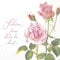 Ihr, Serviette - A Roses for you