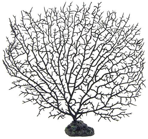 LTWHOME 20cm Aquarium Nicht Künstliche Koralle echter Baum der Koralle Fisch Dekoration(1 Stück)