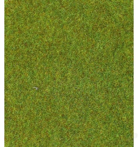 HEKI 30901 Hund Grasmatte, Größe: 75 x 100 cm, Farbe: Hellgrün, lichtgrün, M