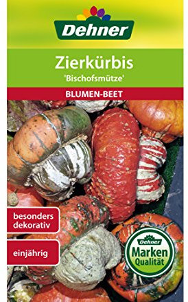 Dehner Blumen-Saatgut, Zierkürbis Bischofsmütze, 5er Pack (5 x 6 g)
