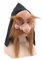 Masque De Gnome Nain Avec Barbe Marron Et Capuche Noire