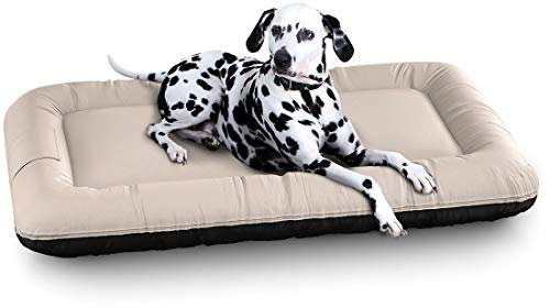 Knuffelwuff Wasserfestes In und Outdoor Hundebett Lucky Color Edition aus Nylongewebe XL 100 x 73cm Beige - abnehmbarer Bezug - waschbar - für große, mittelgroße und kleine Hunde