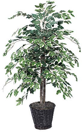 Vickerman 4-Feet Artificial Variegated Ficus Bush in Decorative Rattan Basket