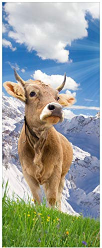 Wallario Glasbild Kuh im Sonnenschein in den Alpen - 32 x 80 cm Wandbilder Glas in Premium-Qualität: Brillante Farben, freischwebende Optik