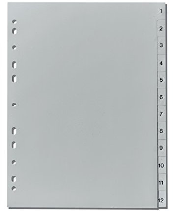 Herlitz 10843407 Register 1-12, 23 x 29,7 cm, PP, Eurolochung