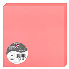 Clairefontaine 12135C Packung (mit 25 Doppelkarten Pollen, Gefaltet, 160 x 160mm) 210g, Litchi