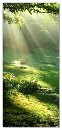 Wallario Selbstklebende Türtapete Sonnenstrahlen im Wald - Türposter 93 x 205 cm Abwischbar, rückstandsfrei zu entfernen