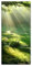 Wallario Selbstklebende Türtapete Sonnenstrahlen im Wald - Türposter 93 x 205 cm Abwischbar, rückstandsfrei zu entfernen