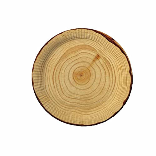 DH-Konzept 10 Pappteller im * Holz Design * für Party und Geburtstag Teller Partyteller Party Fete Set Baumstamm Wood