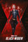 Black Widow Poster Marvel Plakat | Bild 91x61 cm