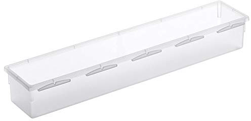 Rotho Basic Schedario Modulare per Cassetti, Plastica (PP) senza BPA, Trasparente, 38.0 x 8.0 x 5.0 cm
