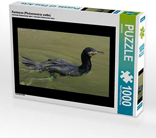 CALVENDO Puzzle Kormoran (Phalacrocorax Carbo) | 1000 Teile Lege-Größe 64 x 48 cm Foto-Puzzle für glückliche Stunden