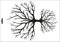 UMR-Design W-326 Tree of Life Wand/Textilschablone Grösse A4