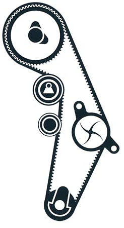 SKF VKMC 01918-2 Timing belt and water pump kit