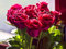 Only You Red Roses Rot Lovely Roses Cool Romantic Nature Special Valentine Day Bouquet Be - Kunstdruck auf Leinwand (61 x 40,6 cm, ungerahmt)