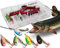Wild Devil Baits Spinner Sortiment in Box Spinnköder Kunstköder Set Angelköder Spoon (Hecht, 12g)