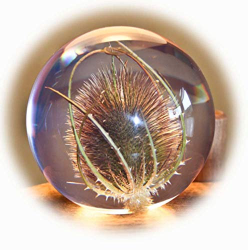 Briefbeschwerer Distel