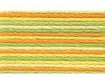 Anchor Sticktwist 1x Farbe: 1304 - Multicolor