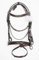 Pets2Care Leder Bonfire gepolstert Trensenzaum braun & weiß 2,5 cm Reithalfter PREMIUM QUALITÄT Show Trensenzaum erhältlich in Full Cob & Pony