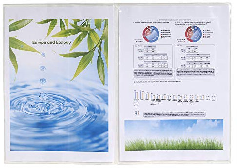 Exacompta 5381E 20 Schutzhüllen (für Ihre Dokumente DIN A4, 29,7 x 21 cm, aus glattem PVC 150µ, 4 Seiten) 2 x 10er Pack transparentDurchsichtig