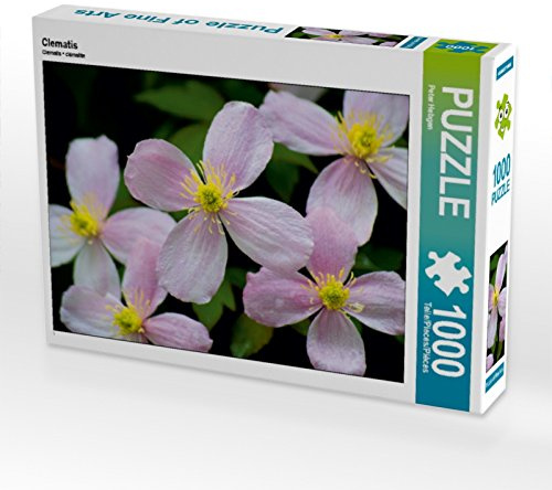 CALVENDO Puzzle Clematis | 1000 Teile Lege-Größe 64 x 48 cm Foto-Puzzle für glückliche Stunden