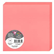 Clairefontaine 12835C Packung (mit 25 Doppelkarten Pollen, Gefaltet, 135 x 135 mm) 210g, Litschi