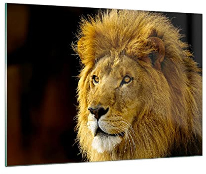 Moderne Impression sur Verre 100x70cm Image Tableau en Verre Decoration Murale Lion animaux faune Grand Tableaux Decoratifs Muraux Chambre Cuisine Horizontal Deco Cadre Salon Art Wall GAA100x70-1237