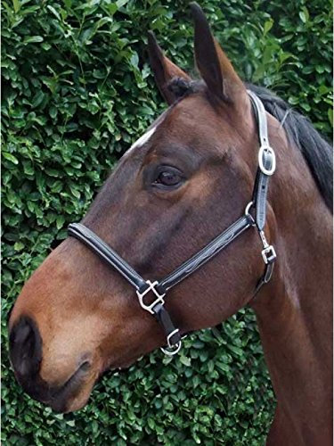 PreCara Lederhalfter White Décor Kaltblut