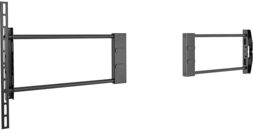 Fusion Side Speaker Adapter L