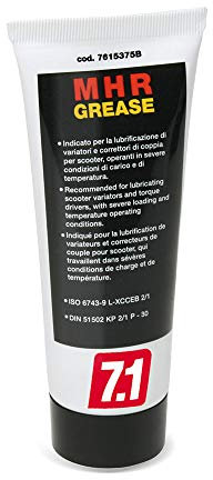 Wandlerfett Malossi Schmierfett MRG GREASE 40g