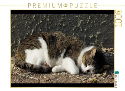 CALVENDO Puzzle Schlafende Hauskatze | 1000 Teile Lege-Größe 64 x 48 cm Foto-Puzzle für glückliche Stunden