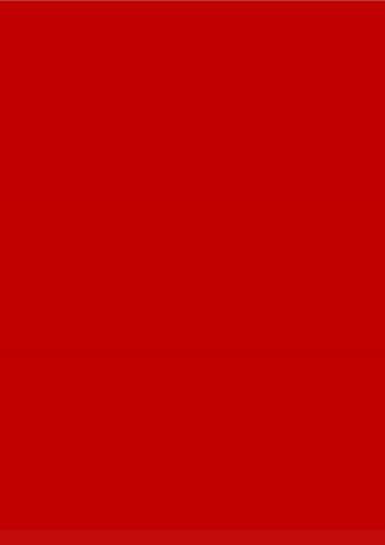 House of Card & Pape A3/297 x 420 mm 220 g/m2 Farbkarton A3/297 x 420 mm rot
