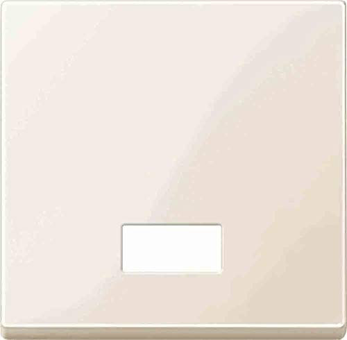 Merten 432844 Wippe mit rechteckigem Symbolfenster, weiß glänzend, System M