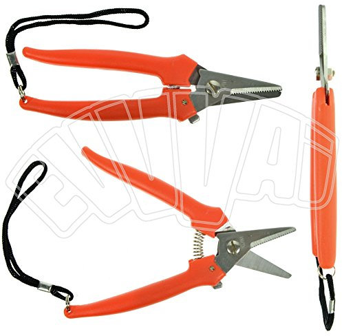 165 mm Schere Edelstahl cogliuva Schere Traubenschere Weinrebe Weinberg mit Armband