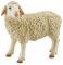 Bullyland 62320 - Spielfigur Schaf, ca. 7,7 cm große Tierfigur, detailgetreu, PVC-frei, ideal als kleines Geschenk für Kinder ab 3 Jahren
