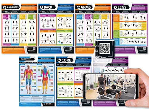 Fitness-Poster – Muskelaufbau-Trainings-Workouts – Set mit 7 Fitness-Postern – laminiert – 594 mm x 420 mm (A2) – Schultern, Rücken, Brust, Arme, Beine, Rumpf